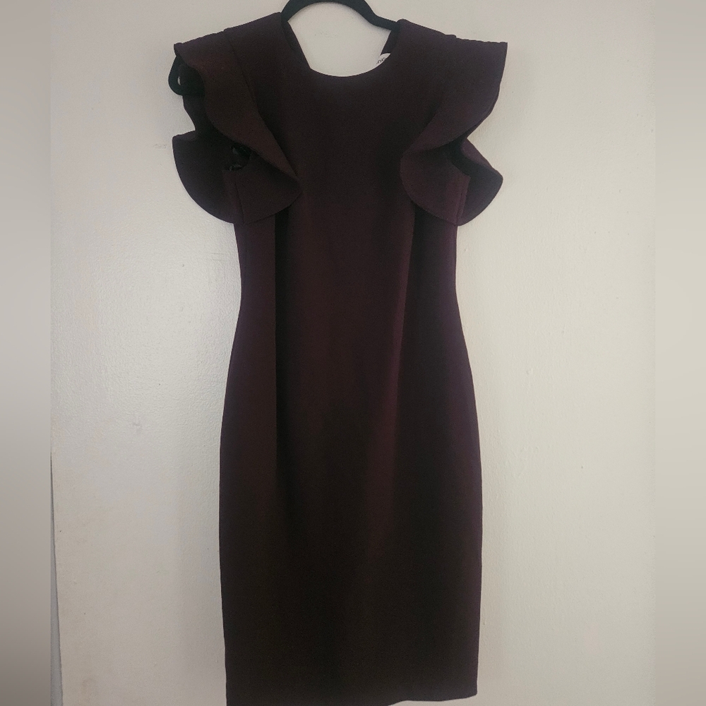 Elegant Burgundy/ Plum Ruffle Sleeve Dress